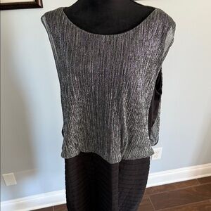 Elegant Silver and Black Sleeveless Dress